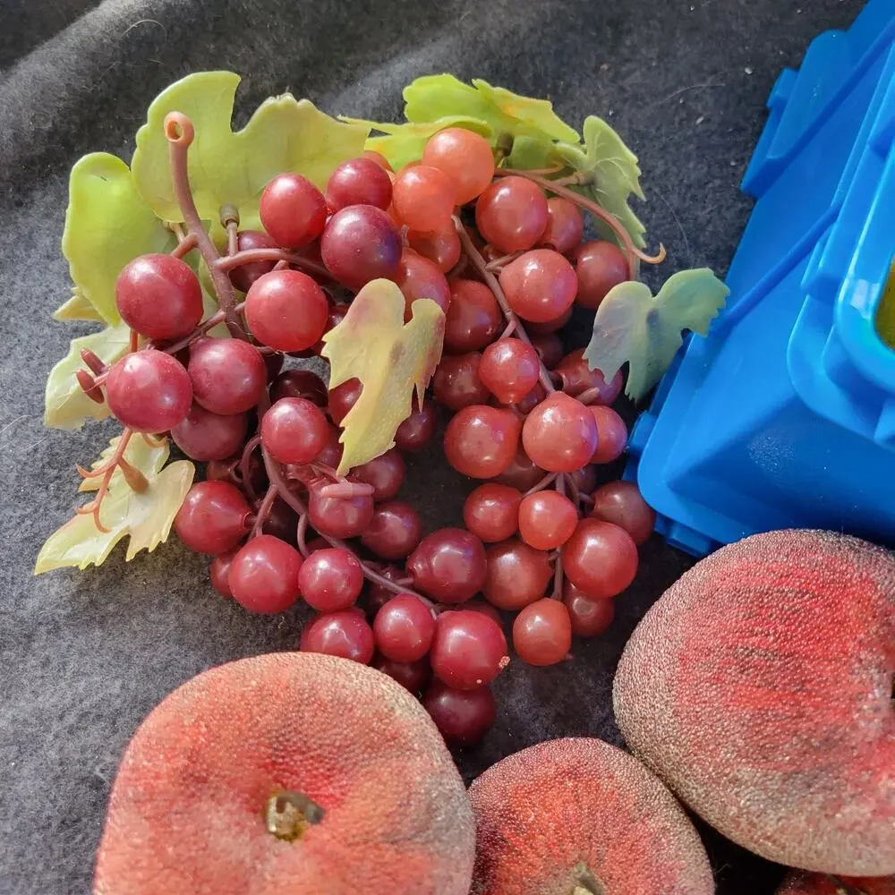 Unbranded vtg fruit